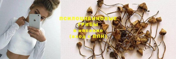 круглые Инсар