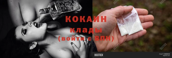 ГАЛЛЮЦИНОГЕННЫЕ ГРИБЫ Инта
