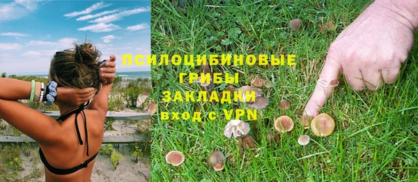 круглые Инсар