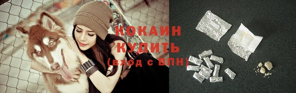 ГАЛЛЮЦИНОГЕННЫЕ ГРИБЫ Инта