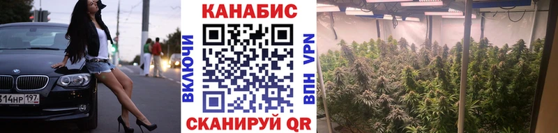 как найти закладки  Самара  Конопля индика 